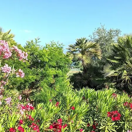 With Terrace, Swimming Pool And Tennis Apartment